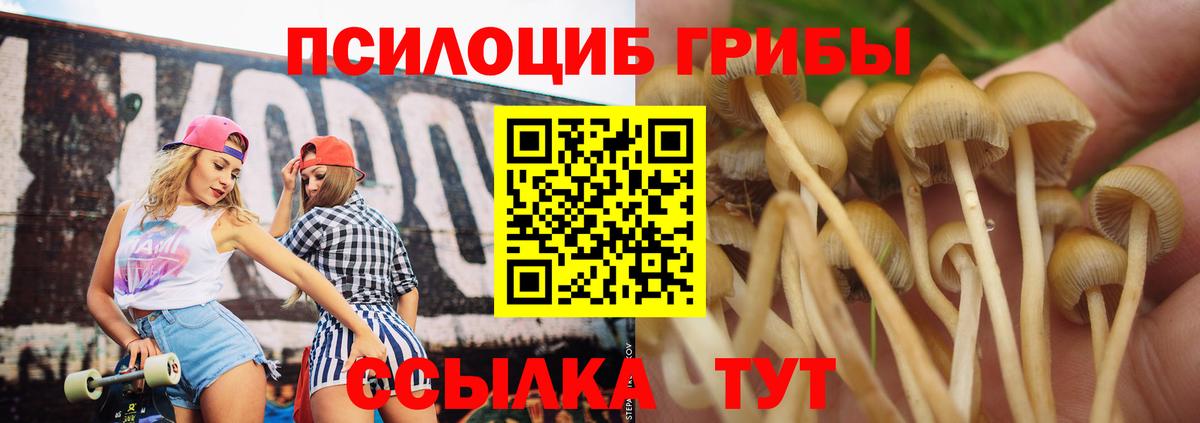 Псилоцибиновые грибы прущие грибы Мончегорск